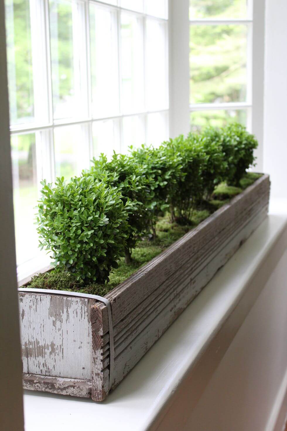 Wooden window box | Best Farmhouse Indoor Plant Decor Ideas & Designs