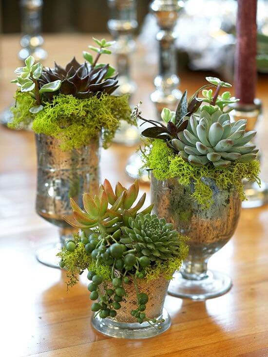 Succulents in mercury glass holders | Best Farmhouse Indoor Plant Decor Ideas & Designs