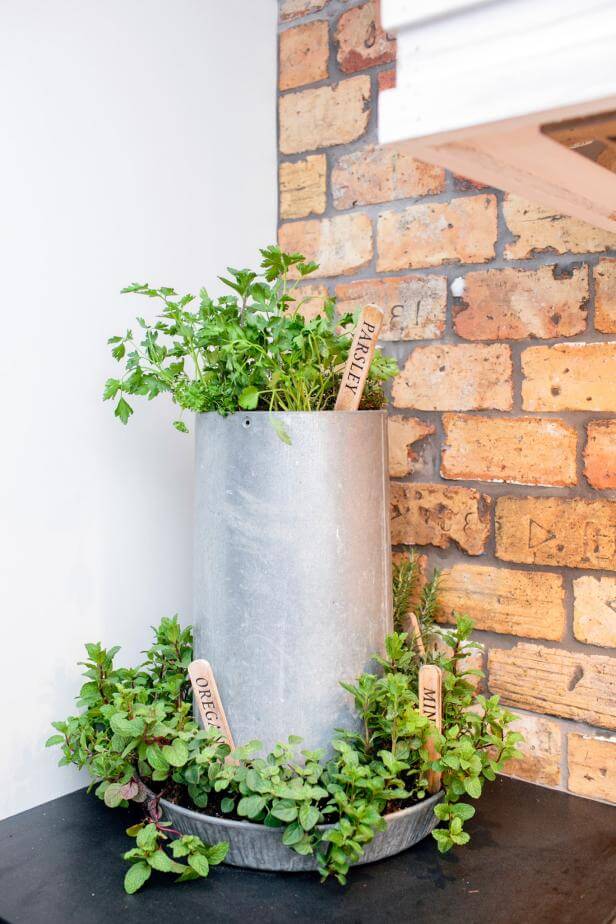Recycled herb container | Best Farmhouse Indoor Plant Decor Ideas & Designs