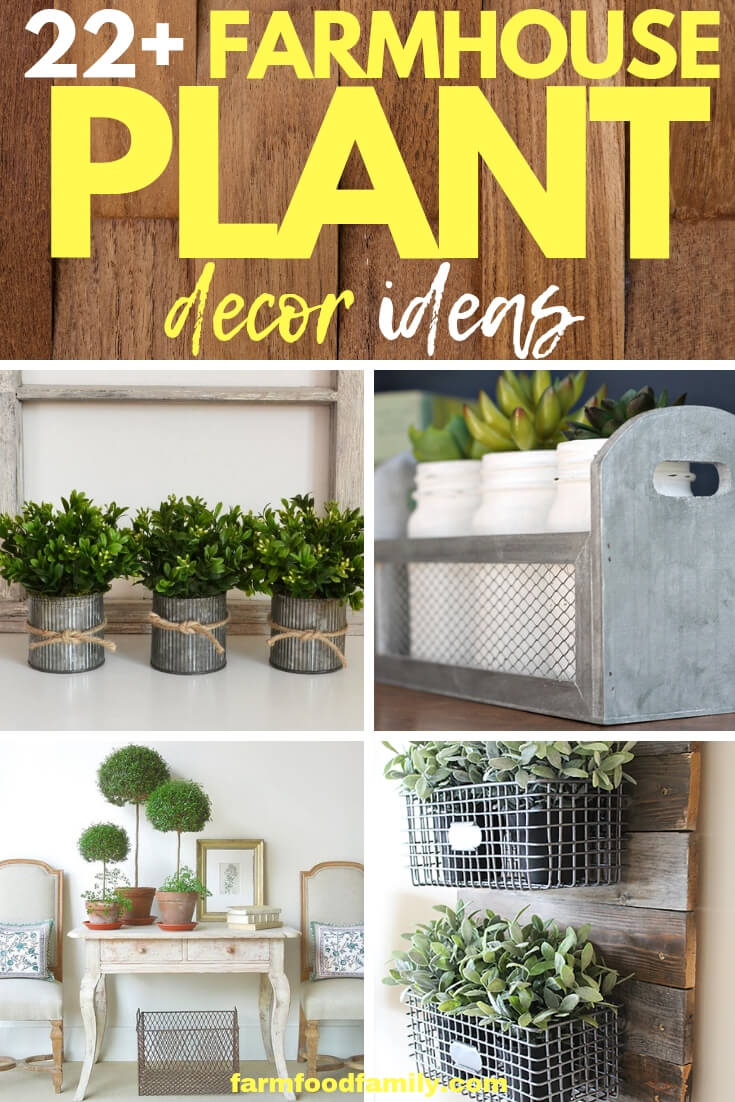 Best Farmhouse Indoor Plant Decor Ideas For Your House