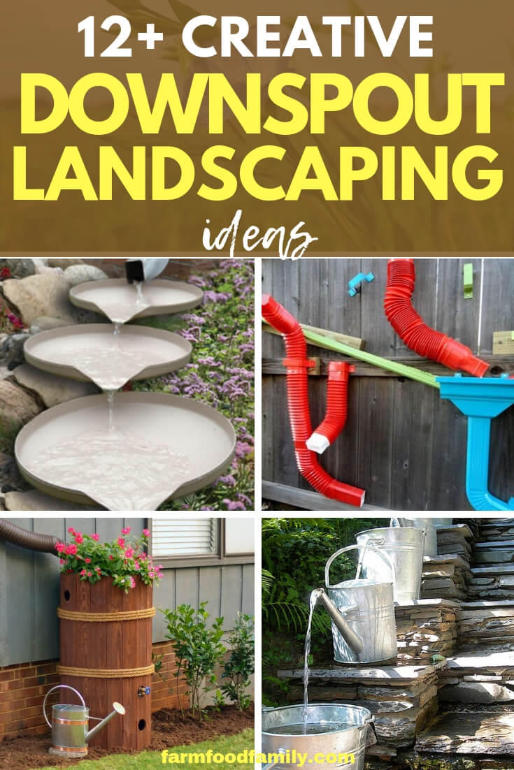 Best Downspout landscaping ideas