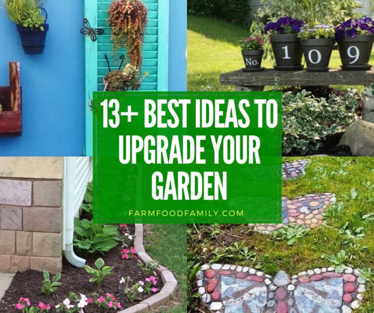 best diy ideas to spruce up your garden