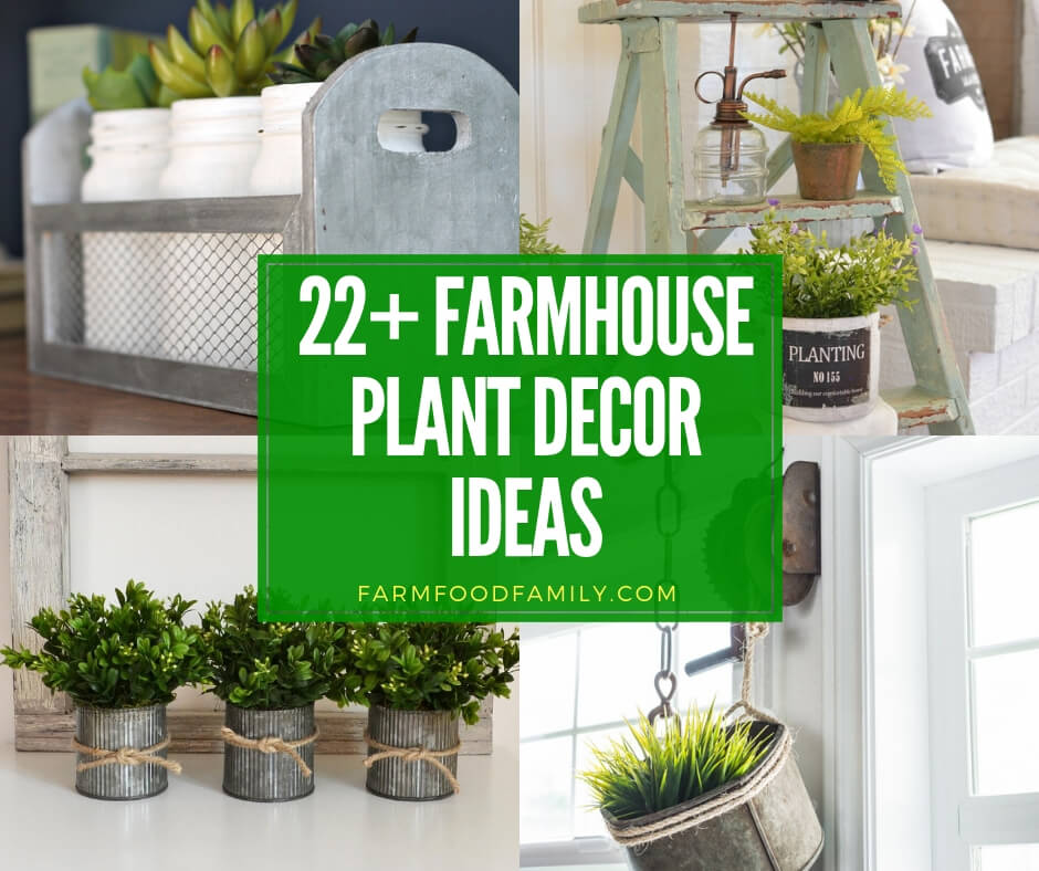 best farmhouse plant decor ideas