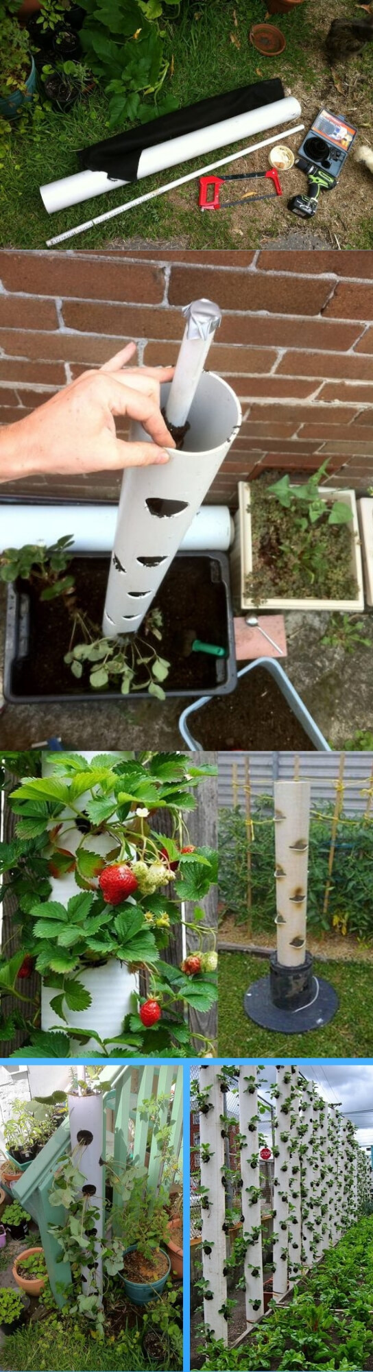 How to make a vertical strawberry tube planter