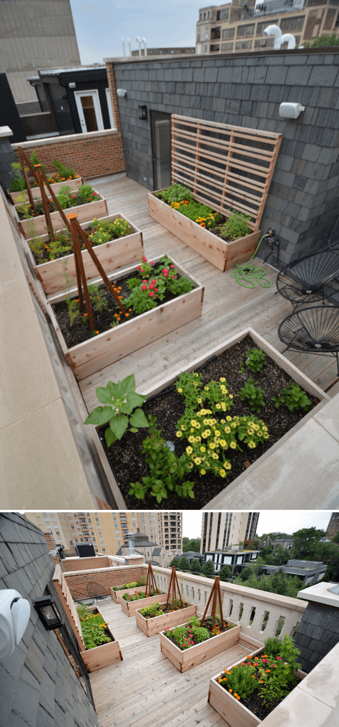 A mid-sized modern full sun rooftop landscaping with decking