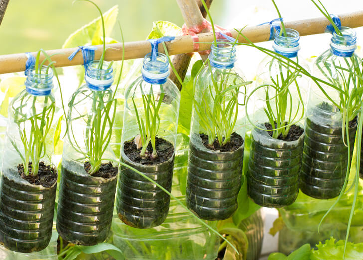 Water bottle herbs