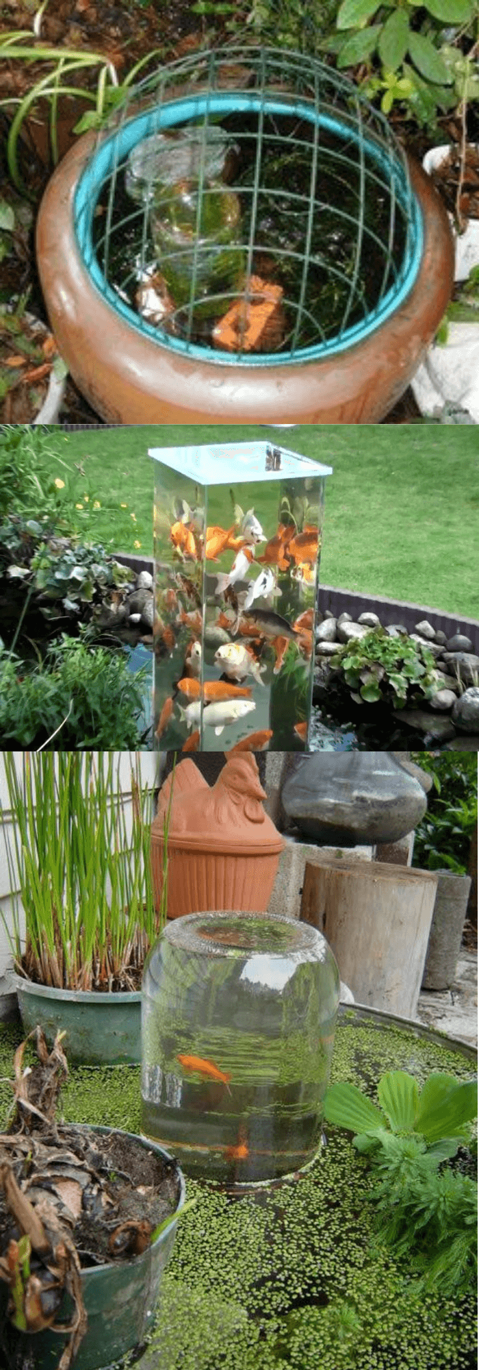 6 backyard aquarium ideas