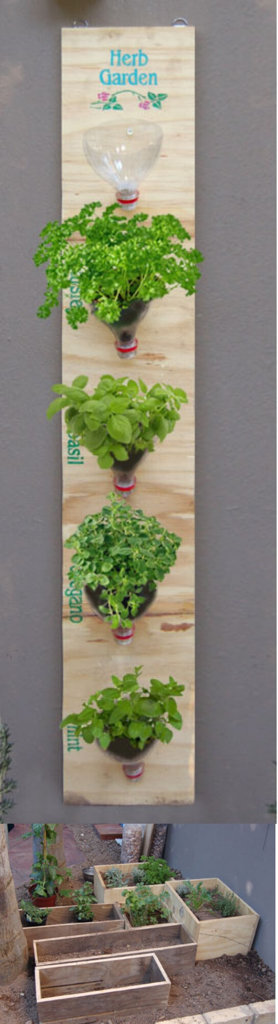 Make a hanging herb garden