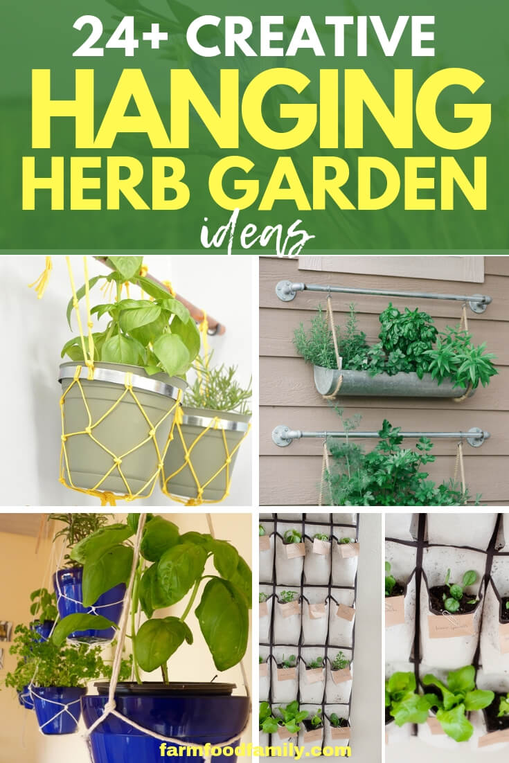 Best hanging herb garden ideas