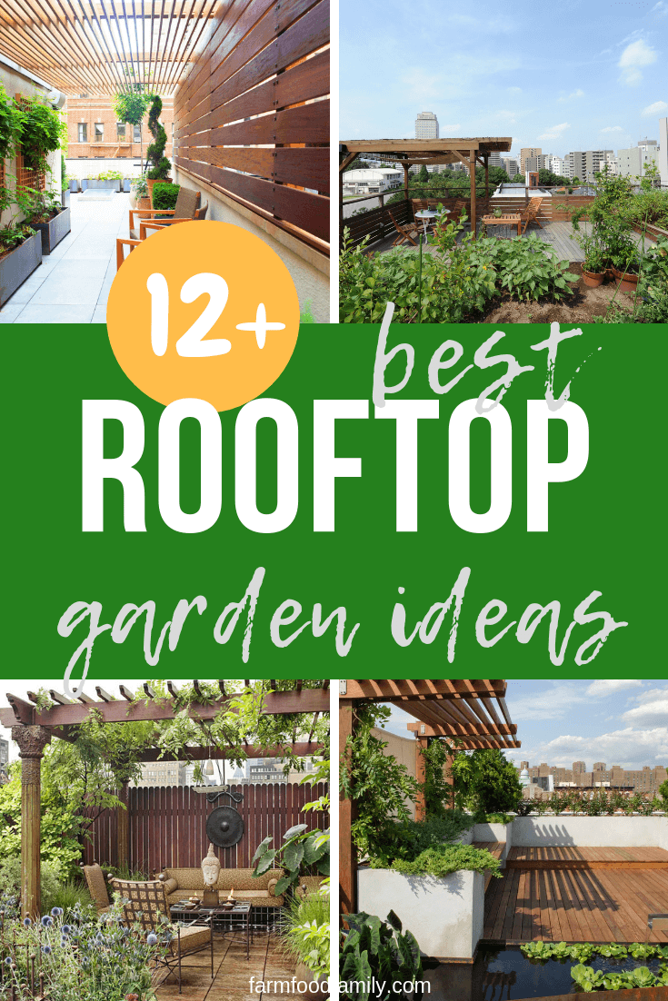 Best Rooftop Garden Designs  & Ideas
