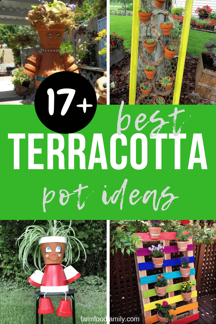 Best Garden Ideas Using Terracotta Pots