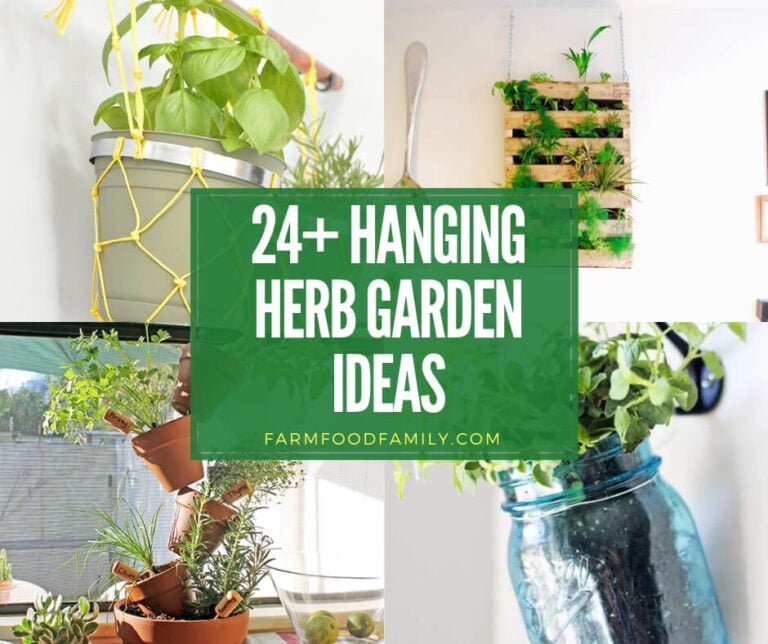 best hanging herb garden ideas