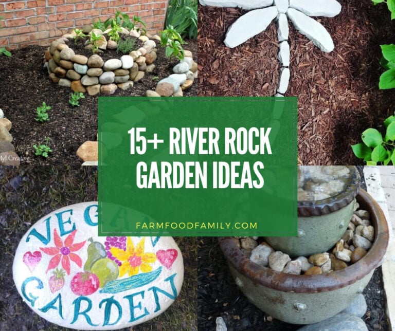 Best river rock garden ideas