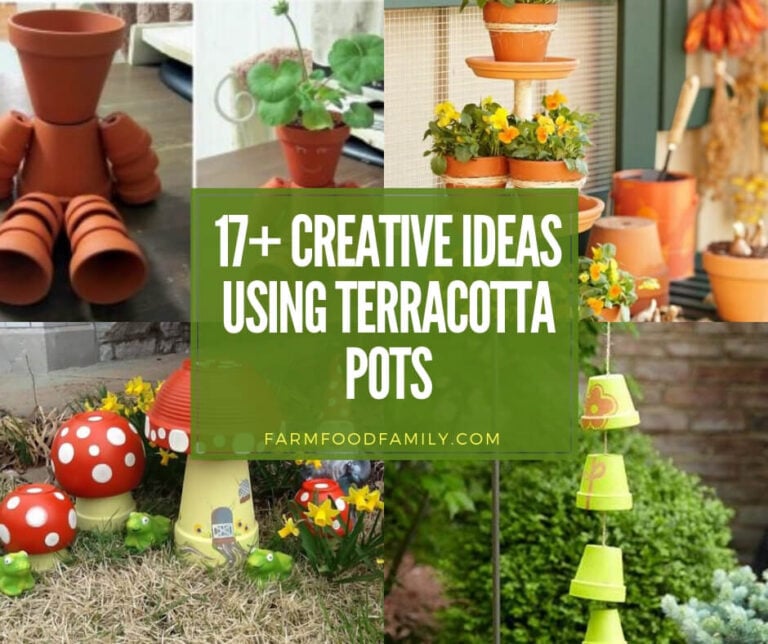 best garden ideas using terracotta pots