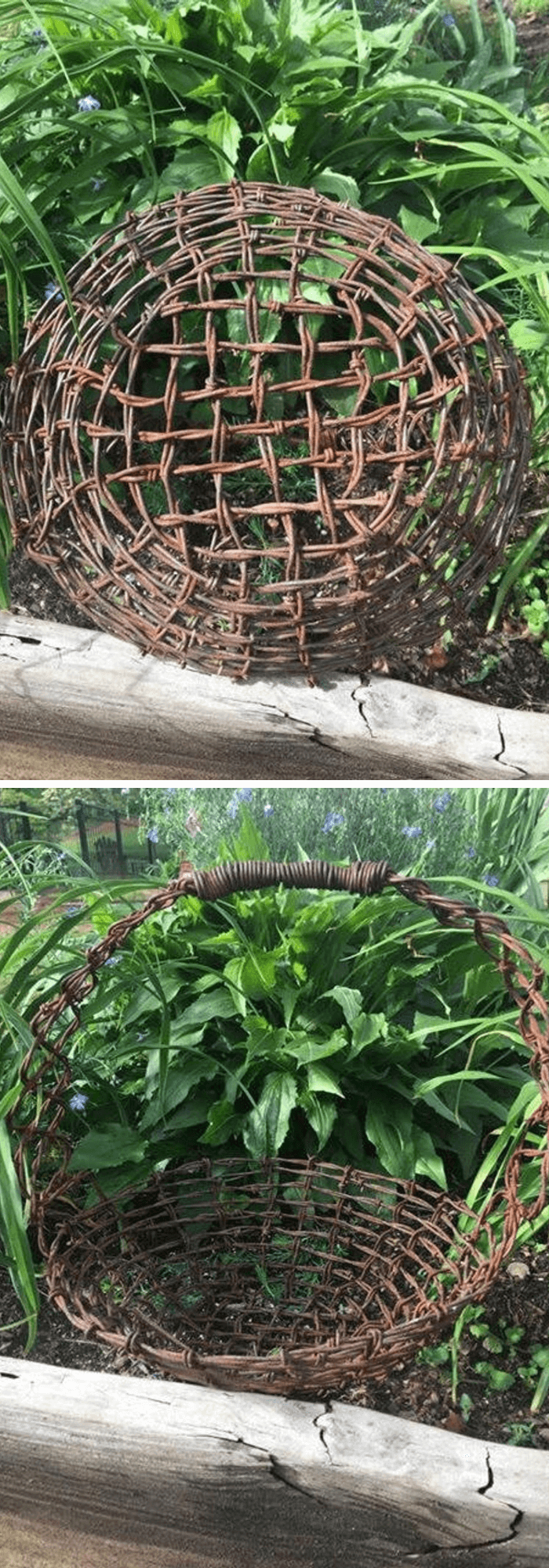 Rusty Metal garden DIY Ideas Rusty Barbed wire