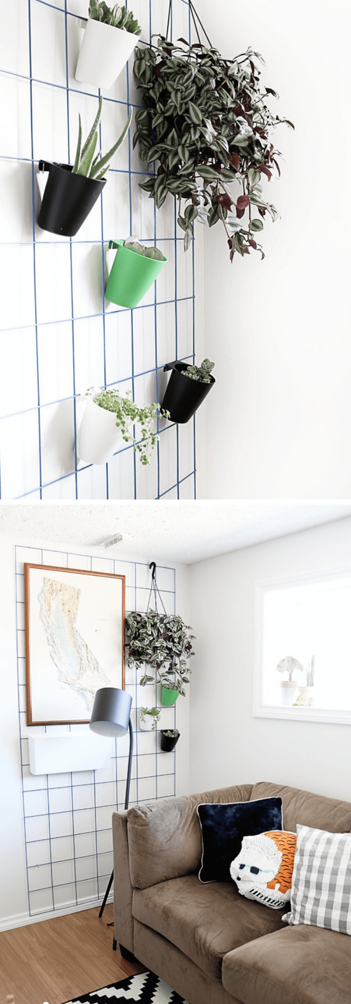 Easy DIY Hanging Plant Wall