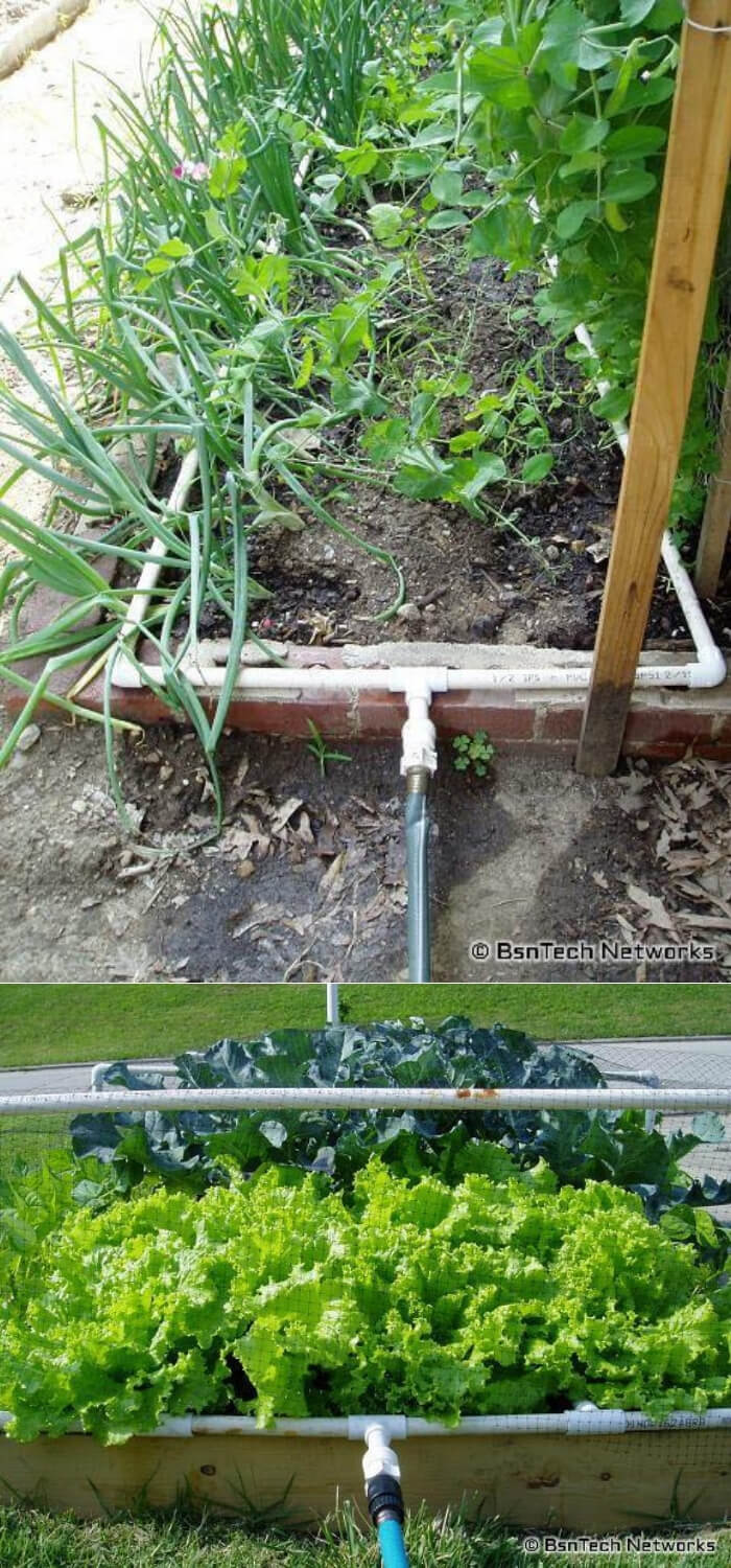 DIY PVC Pipe Planters for Your Garden PVC Irrigation System for Garden