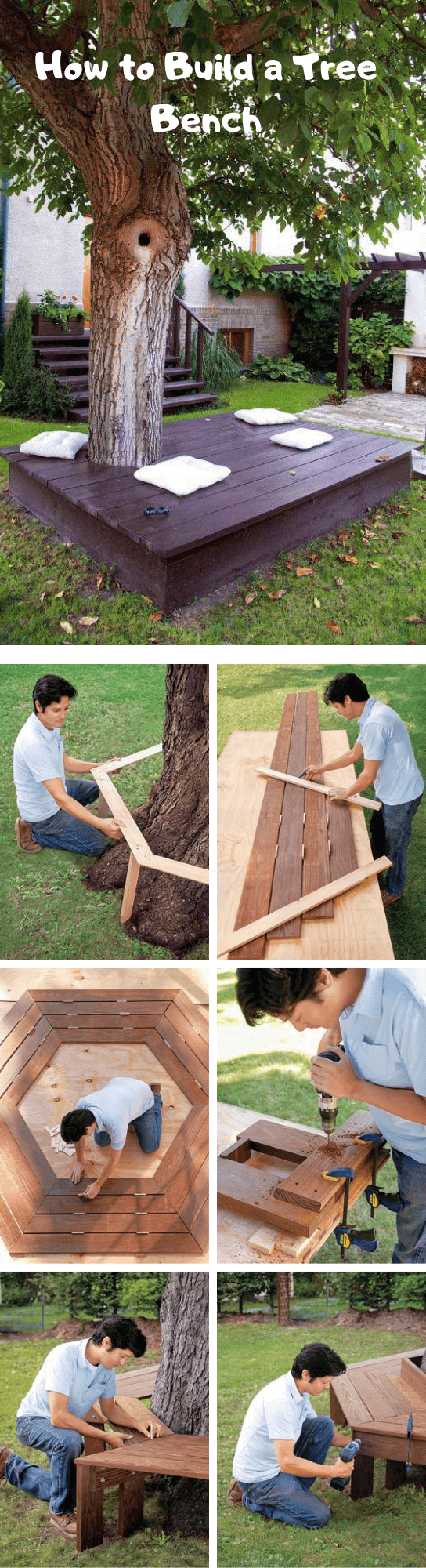 How to Build a Tree Bench