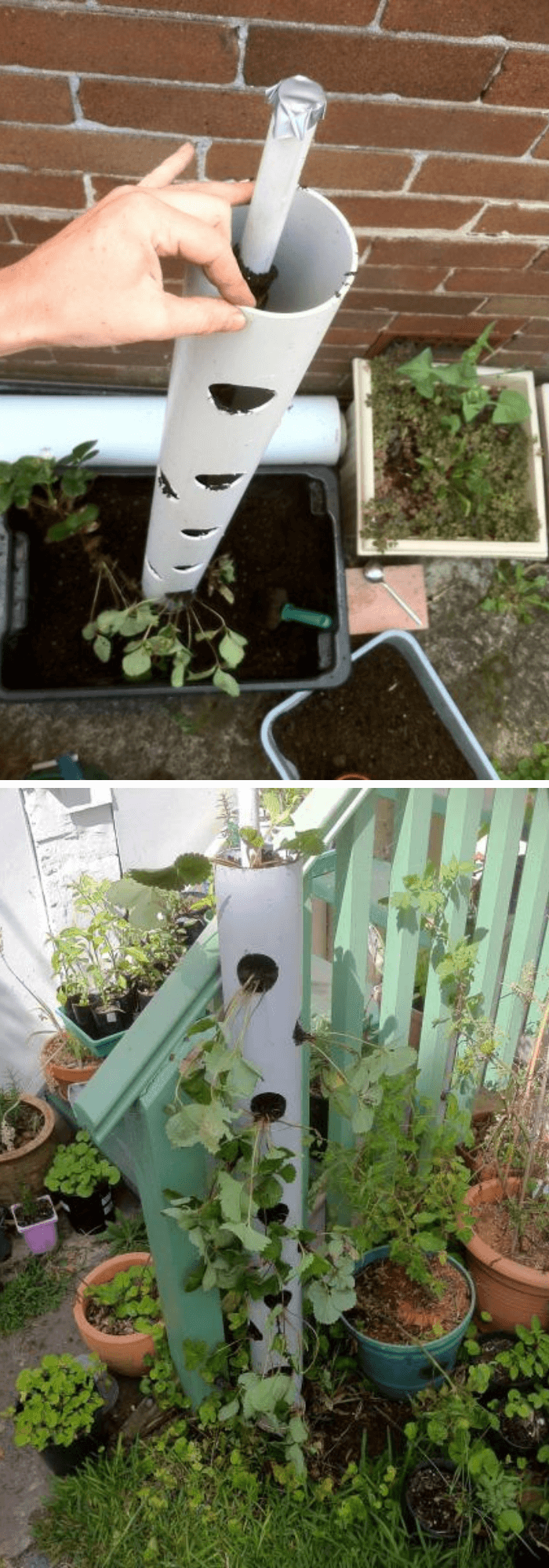 DIY PVC Pipe Planters for Your Garden Vertical strawberry tube planter