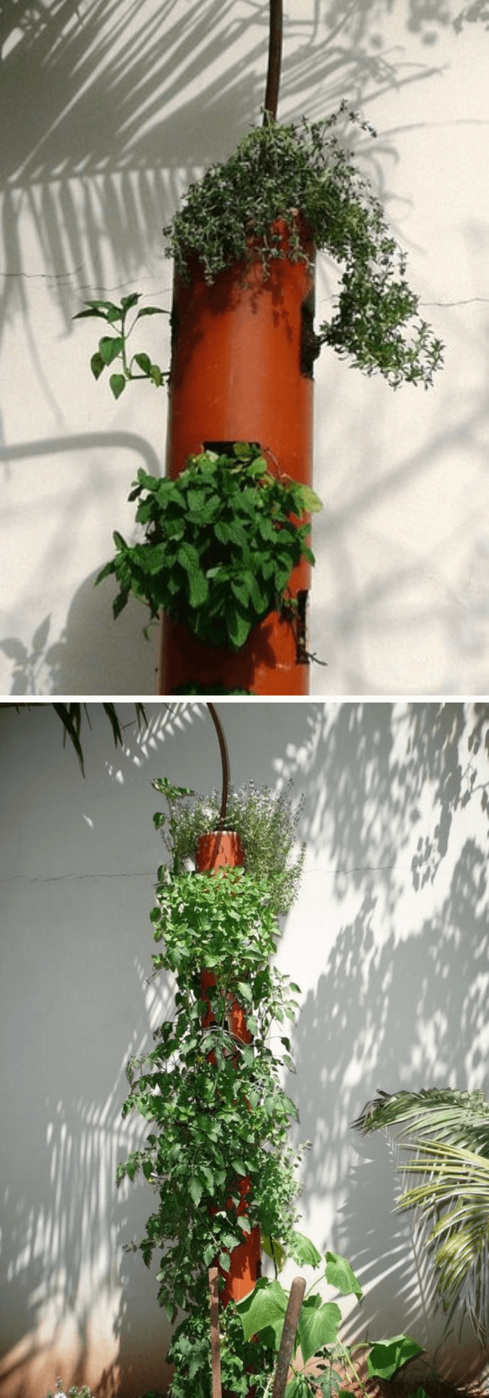 DIY PVC Pipe Planters for Your Garden DIY Organic Vertical Planter