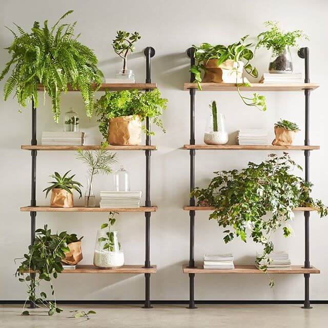 DIY plant wall