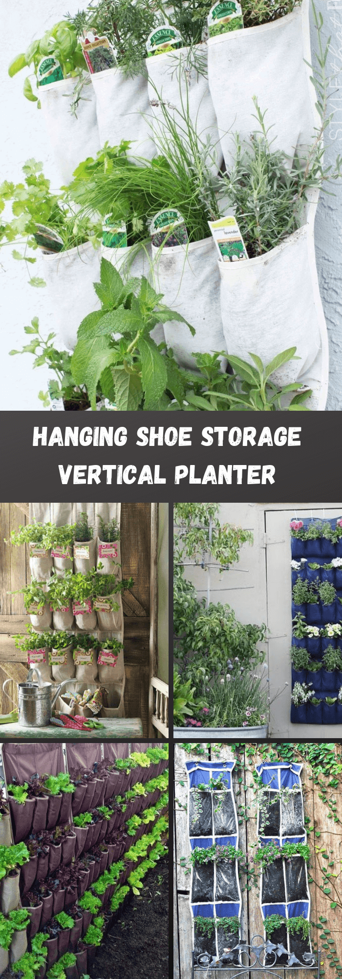 Hanging Shoe Storage Vertical Planter