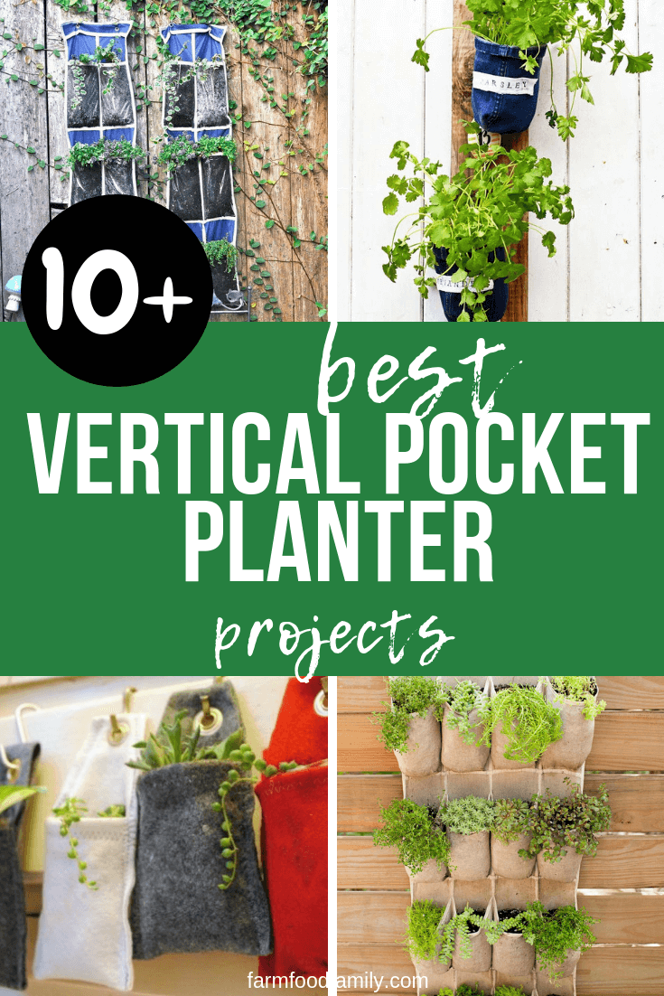 Best DIY Vertical Pocket Planter Ideas For Urban Gardeners