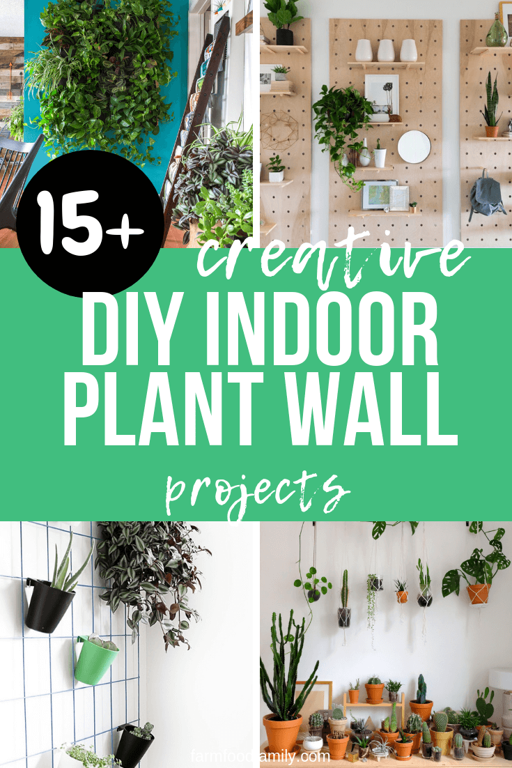 Best DIY Indoor Plant Wall Ideas