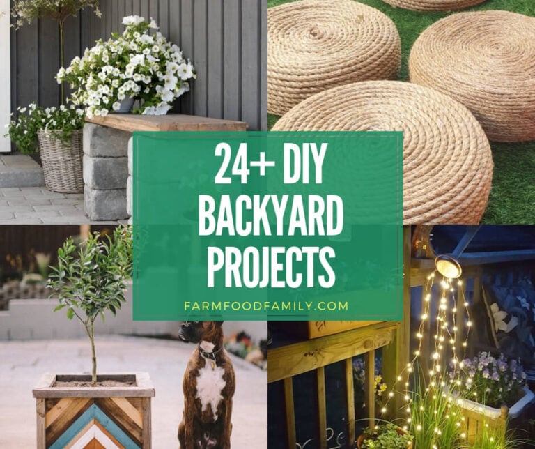 best diy backyard project ideas