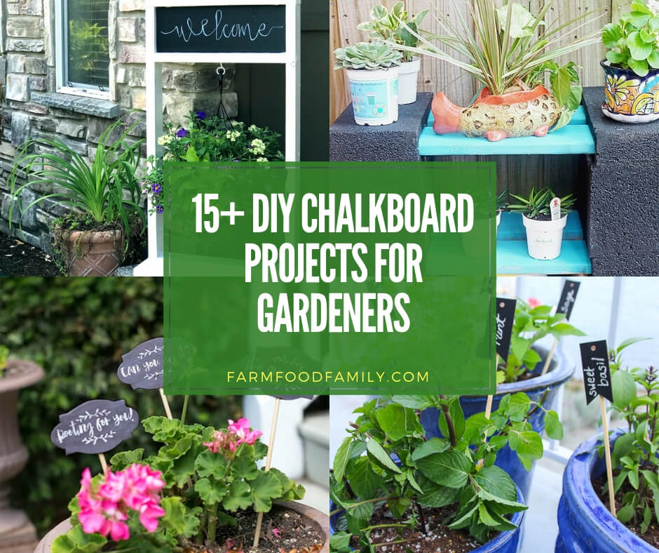 best diy chalkboard garden projects