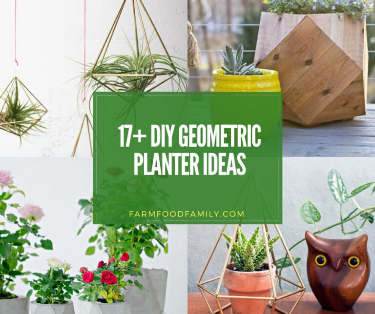 best diy geometric planter ideas