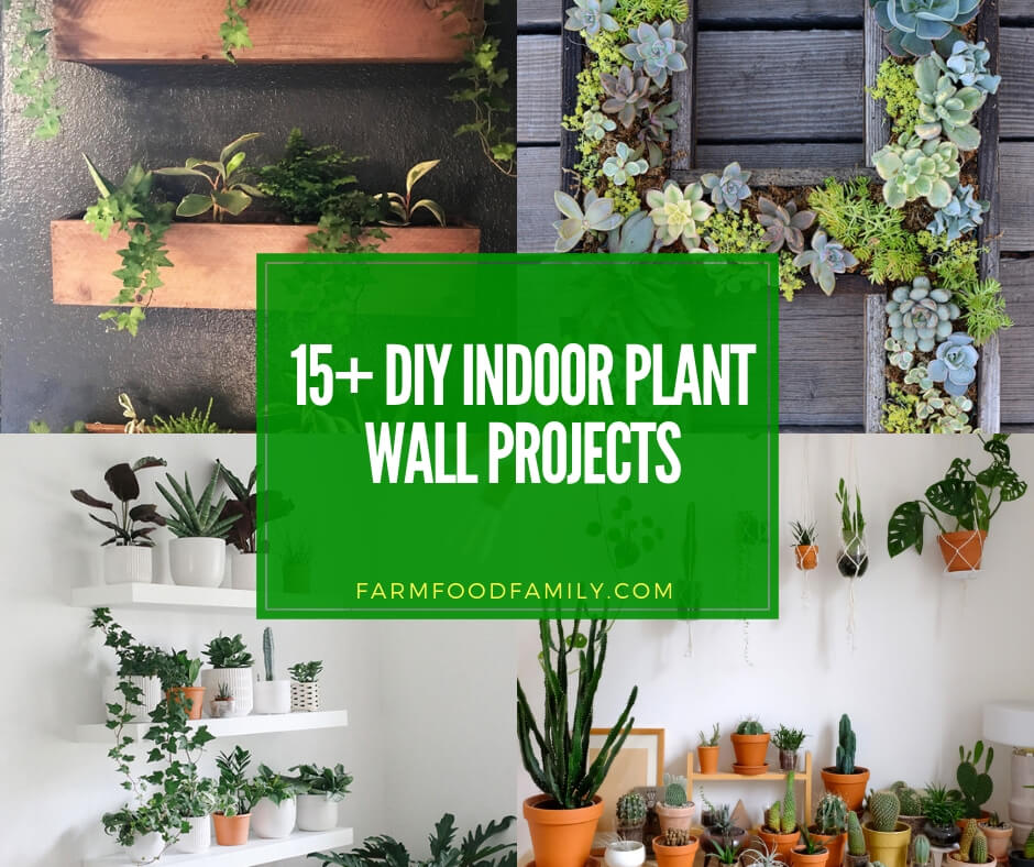 15 Best Diy Indoor Plant Wall Projects Ideas For 2022