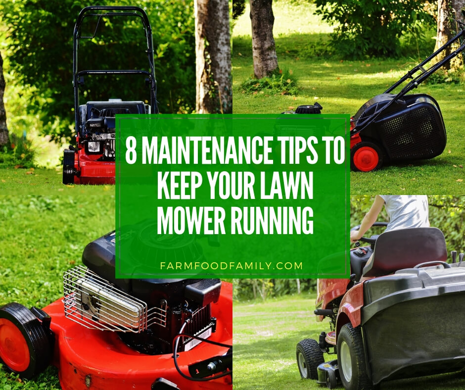 8 lawn mower maintenance tips