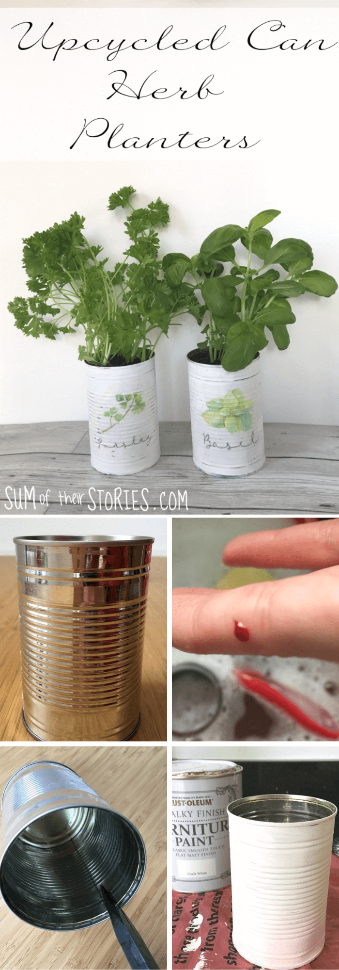 Upcycled Can Herb Planters
