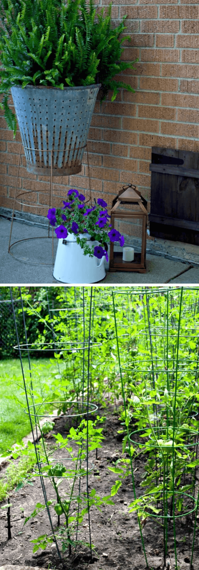 DIY plant stand made from a tomato cage