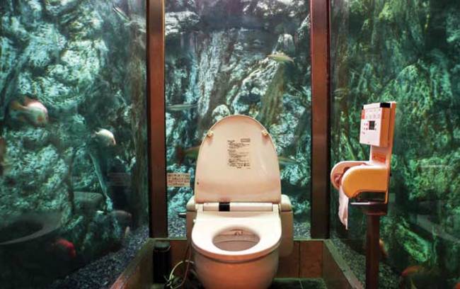 bathroom surrounded by glass walls where you can see fish