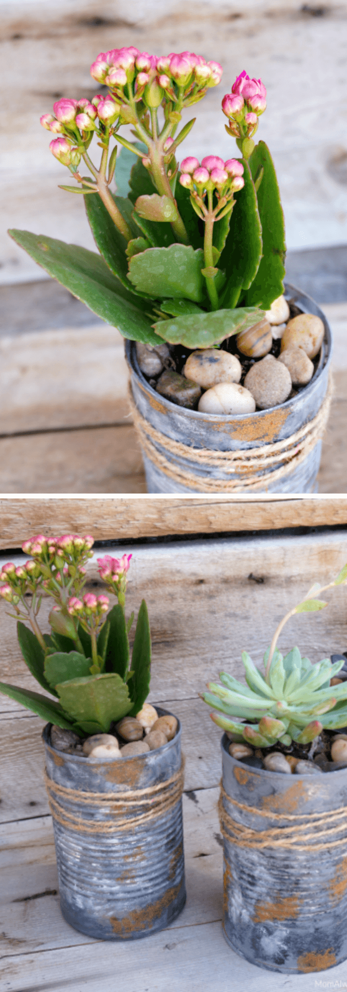 DIY Tin Can Planters Perfect For Succulents