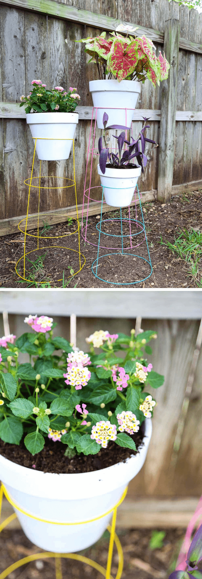 DIY Tomato Cage Plant Stands