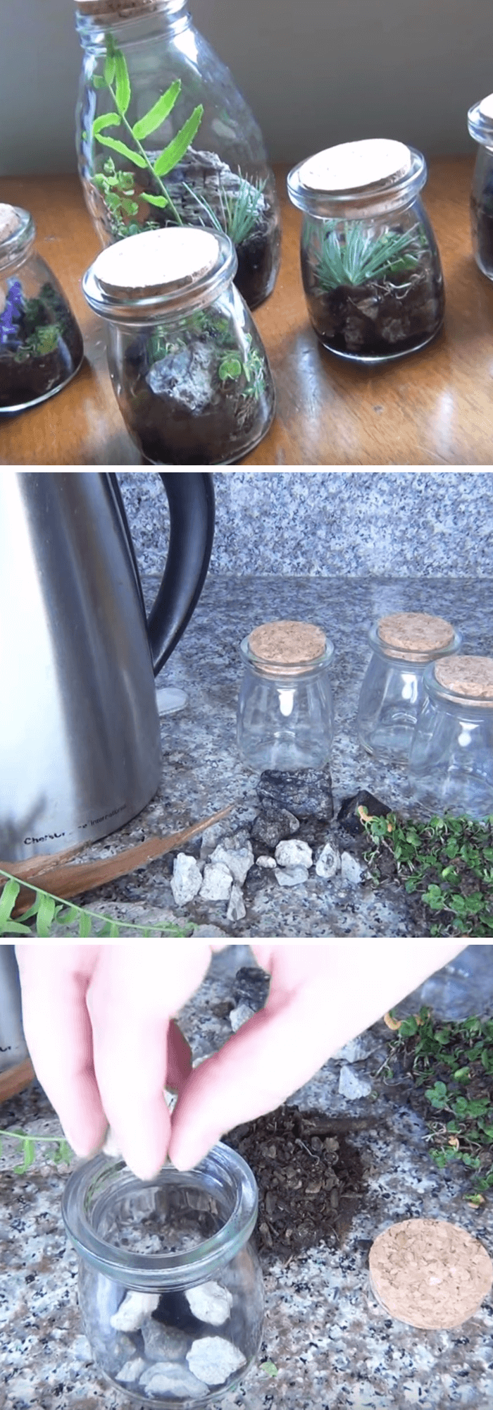 Self-Sustaining Fairy Garden Jars