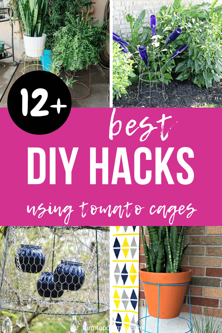best diy hacks using tomato cages