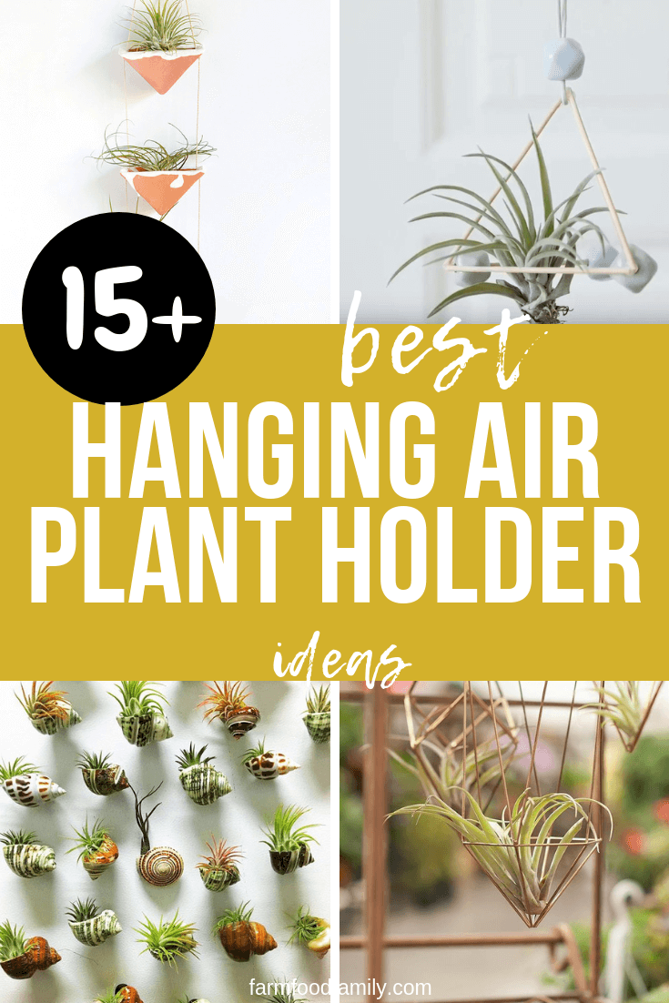 best hanging air plant holder ideas