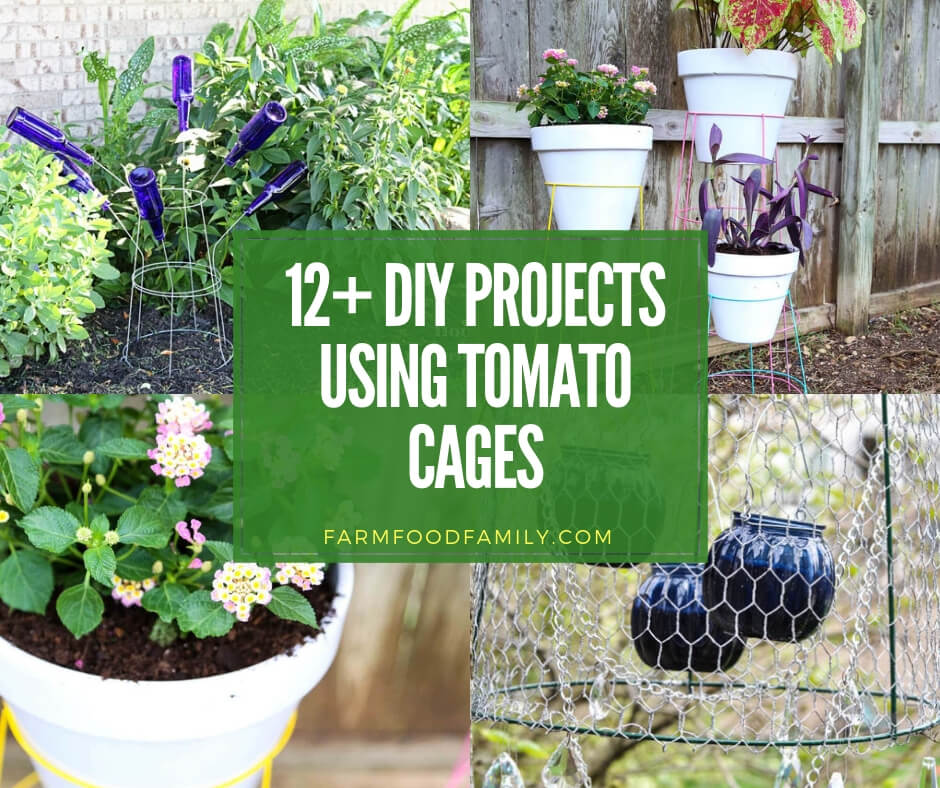 best diy projects using tomato cages