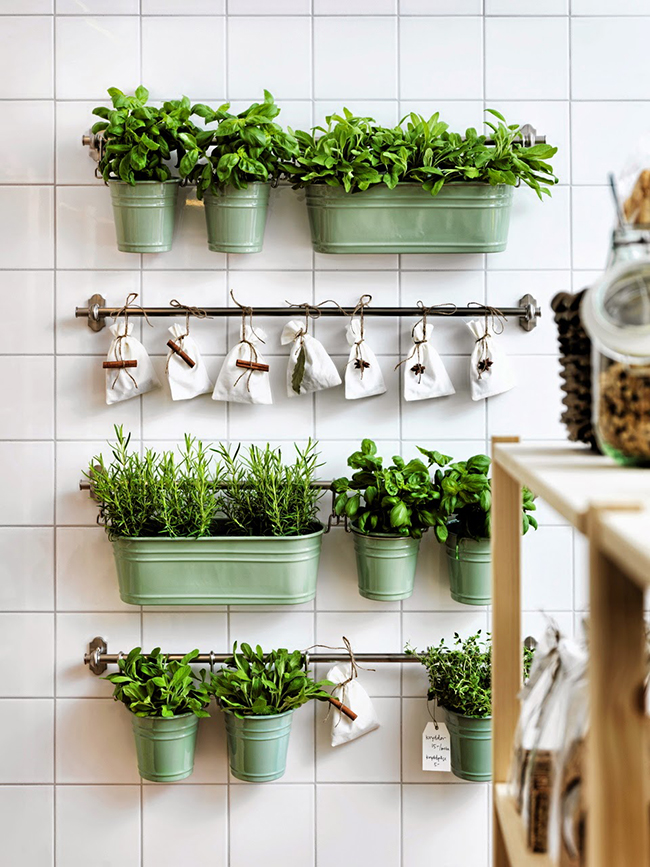 Wall planters in the kitchen