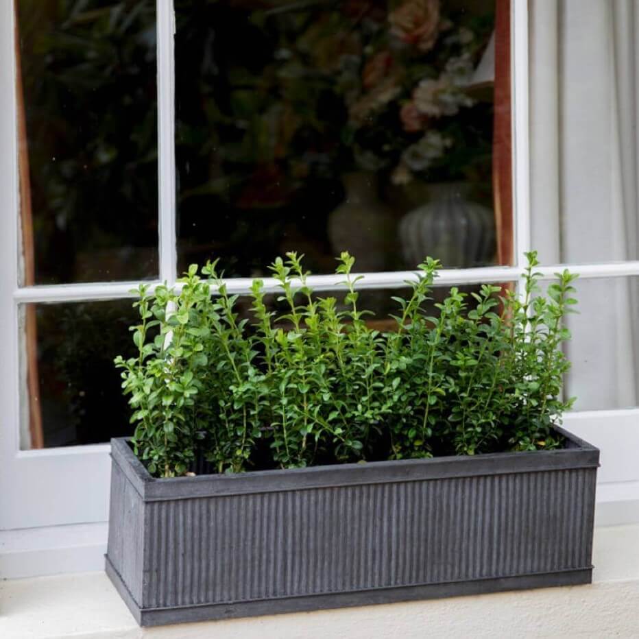 11 window box planter ideas