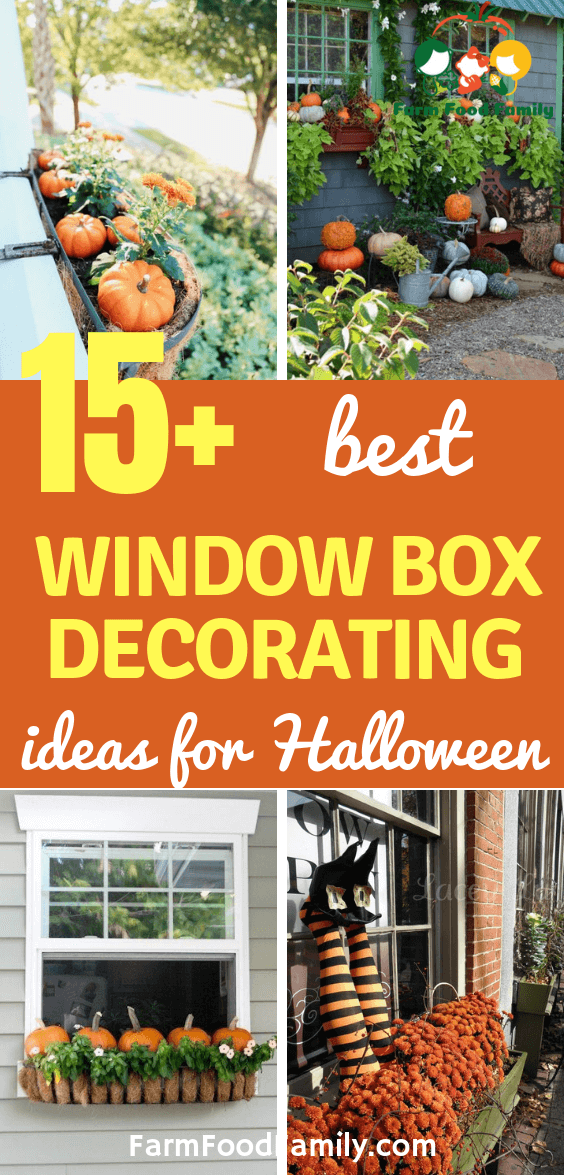 best window box decorating for halloween