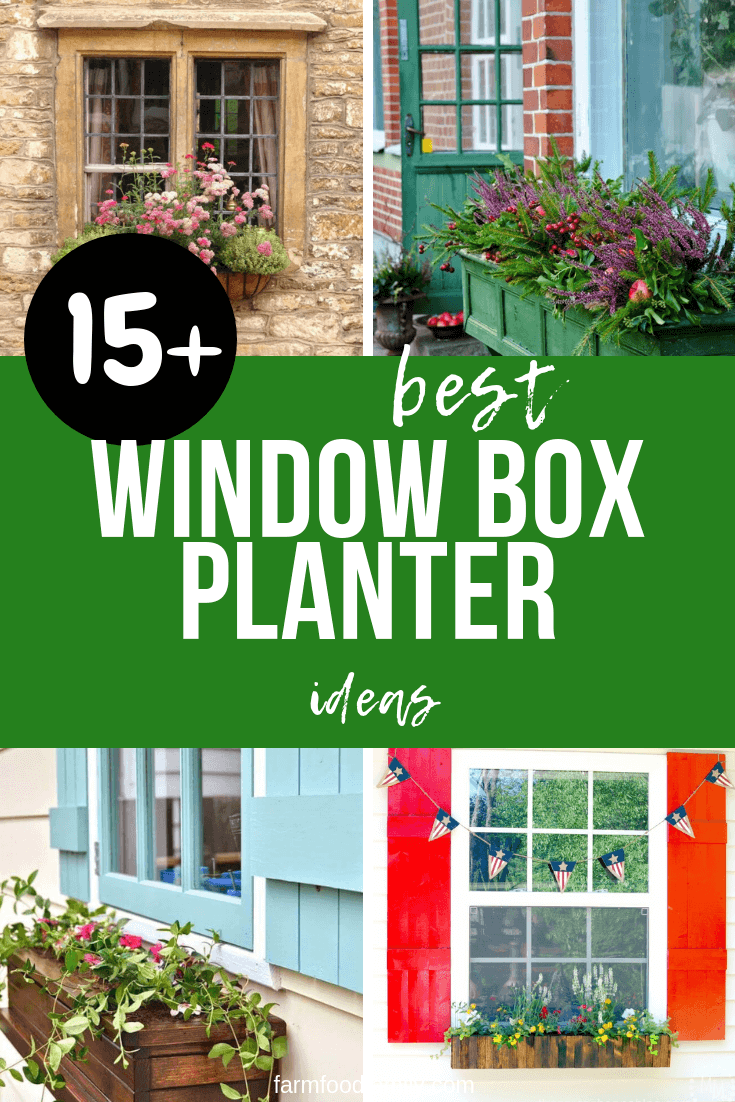 best window box planter ideas
