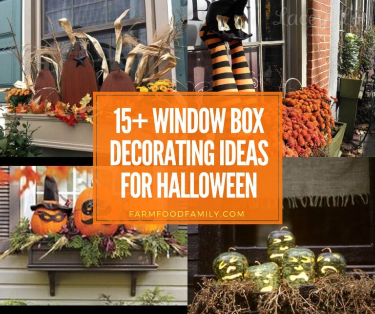best window box decorating ideas for Halloween