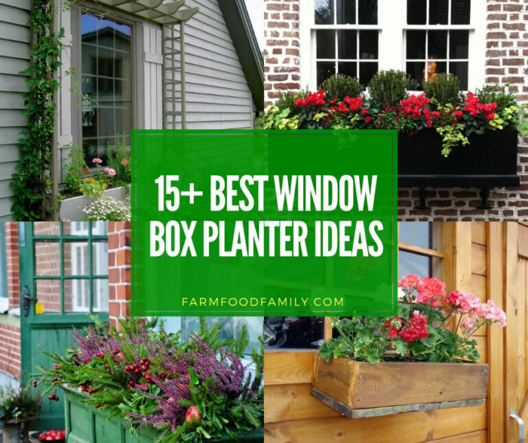 best window box planter ideas