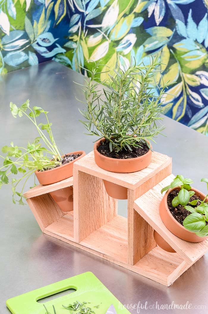 2 tabletop garden ideas