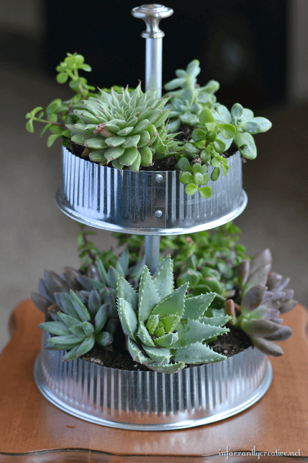 6 tabletop garden ideas